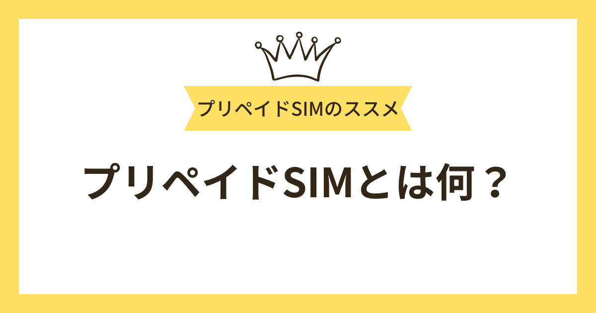 プリペイドSIMとは何？