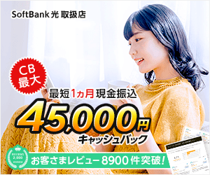 ソフトバンク光(エヌズカンパニー)のバナー