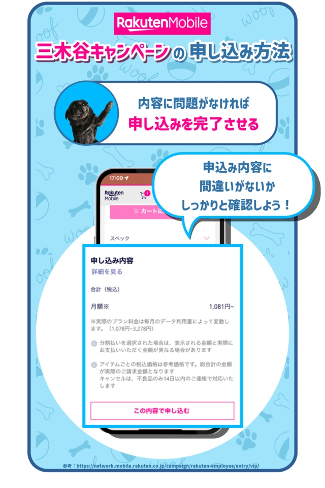 三木谷キャンペーンの手順:申込み内容を確認して問題がなければ申込みを完了させる を示した図