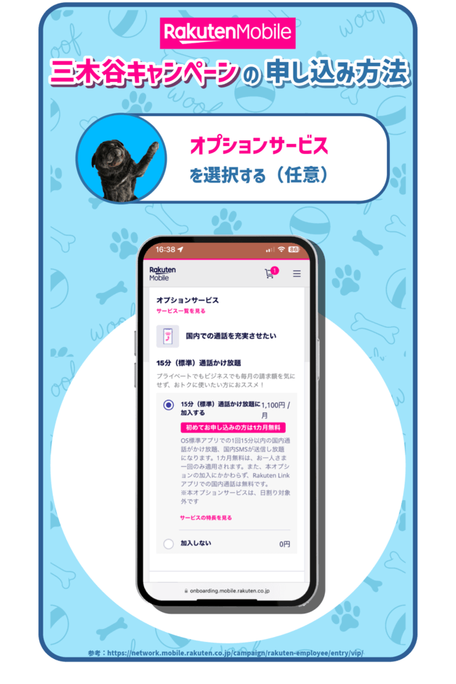 三木谷キャンペーンの手順:オプションサービスを選択する(任意)を示した図