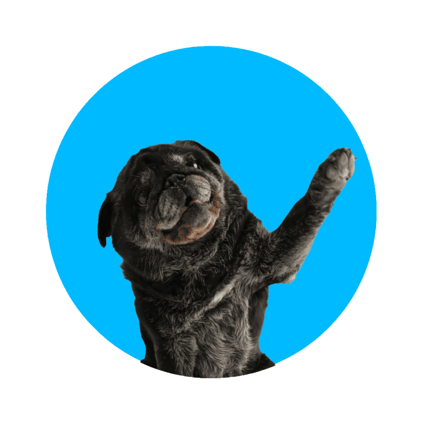 ベネフィットジャパンSIMの公式キャラクター画像