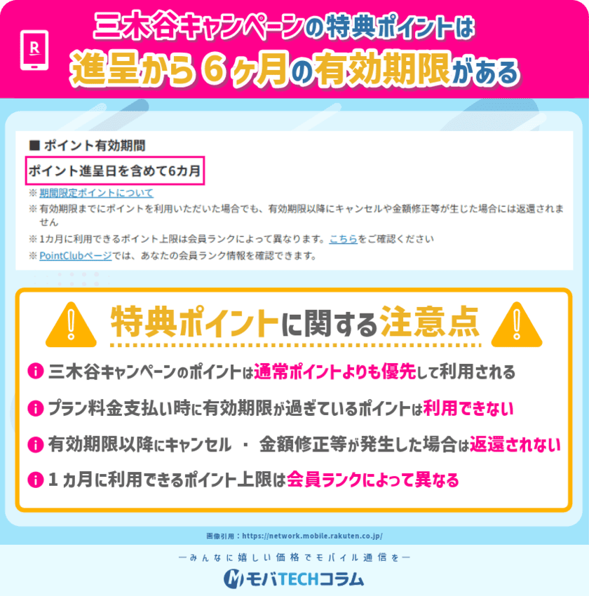 三木谷キャンペーンの期間限定ポイントに関する注意点