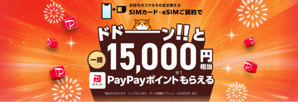 ワイモバイルPayPayポイント乗り換えキャンペーン