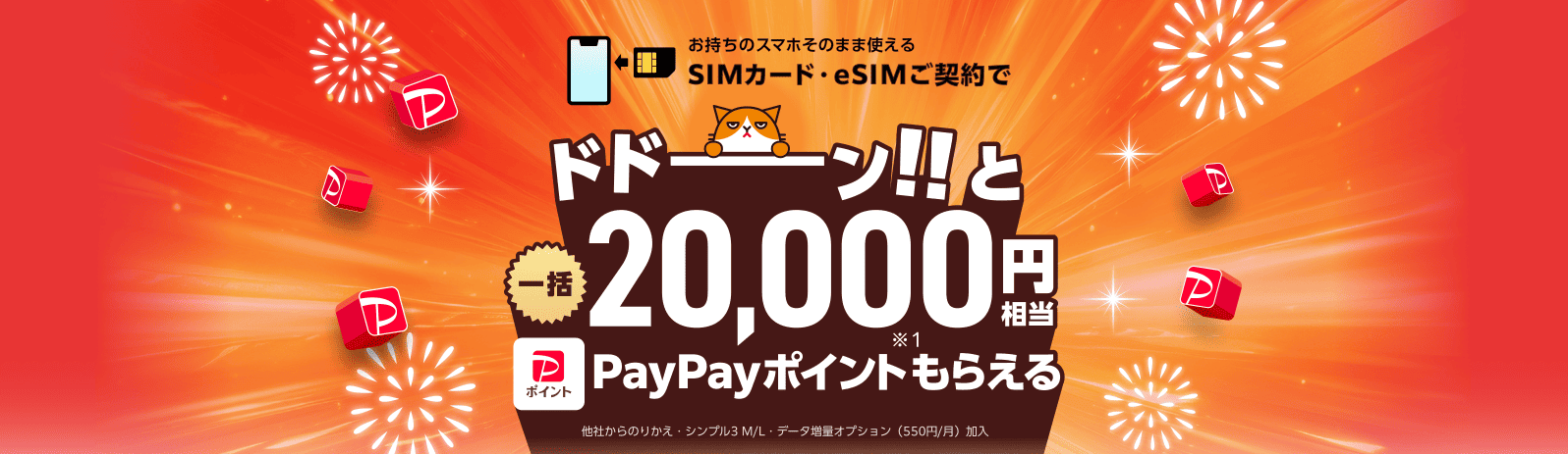 ワイモバイルPayPayポイント20,000ptの乗り換えキャンペーン