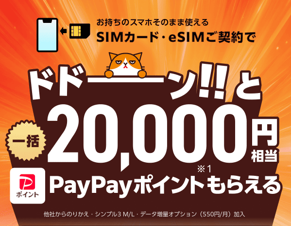 ワイモバ10周年大感謝祭20,000ptのバナー